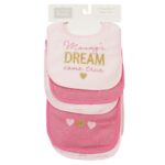 Hudson 3 bibs & 2 burp cloth