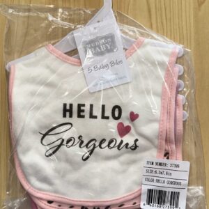 Hudson 5pcs bibs